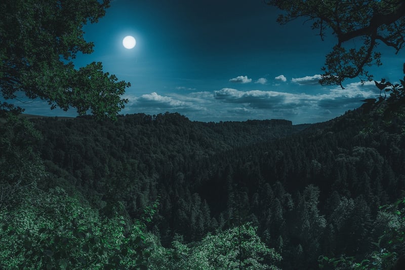 Mystical Landscape
